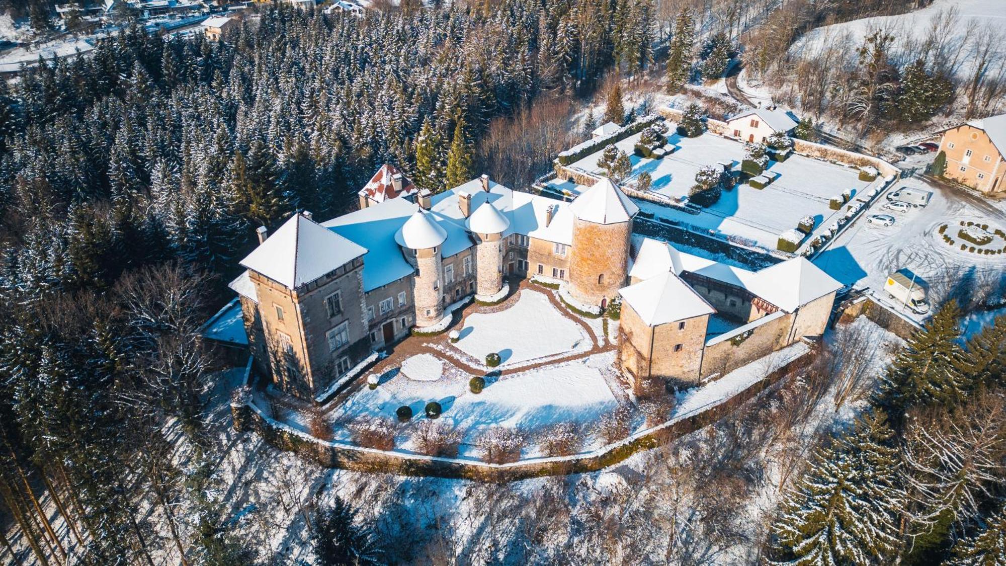 Chateau De Thorens Exteriér fotografie