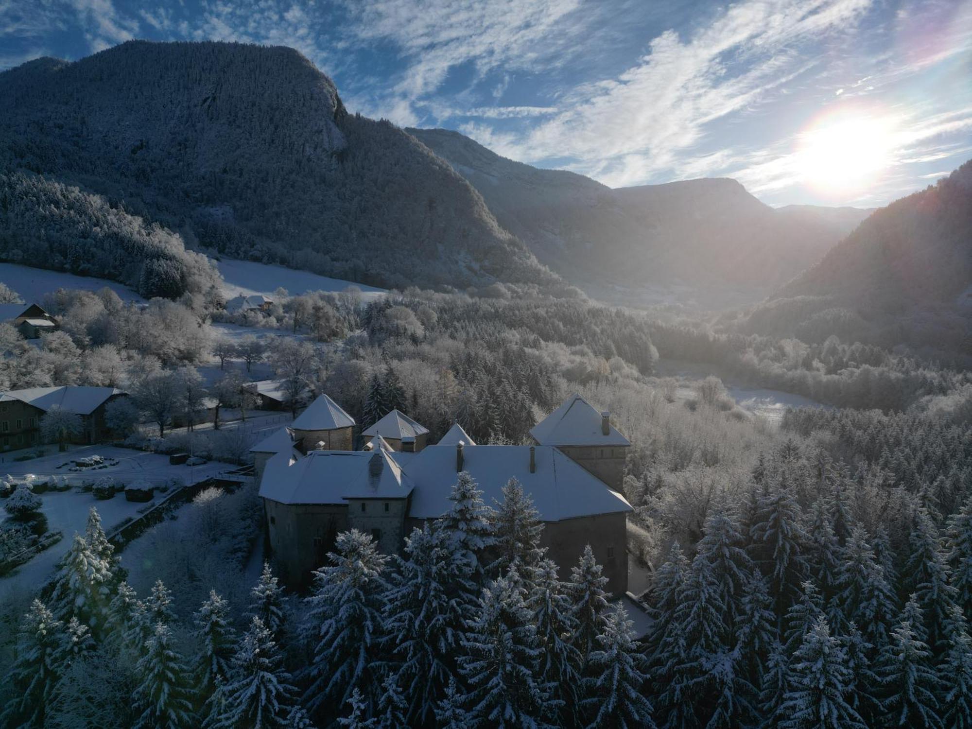 Chateau De Thorens Exteriér fotografie
