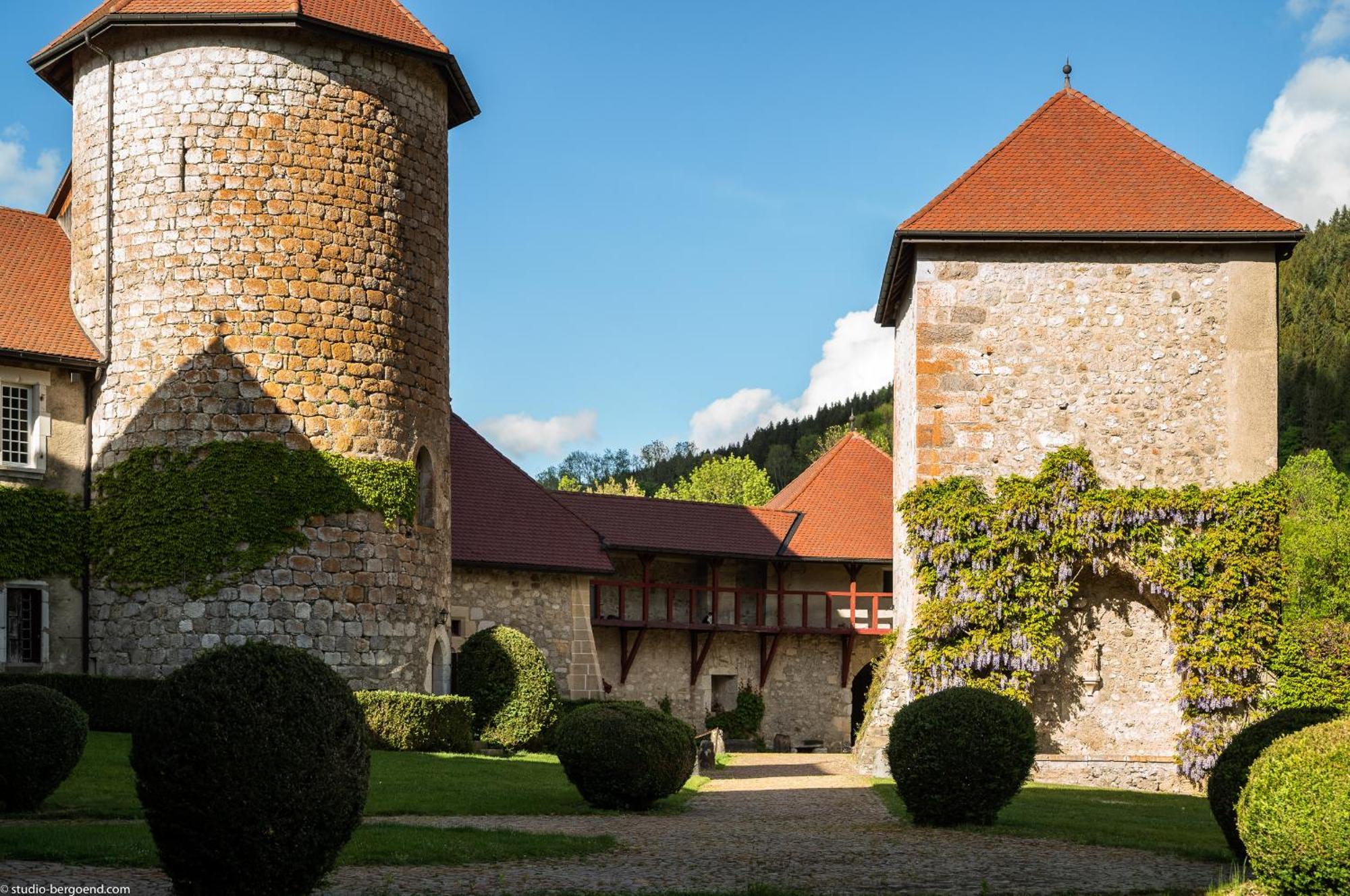 Chateau De Thorens Exteriér fotografie